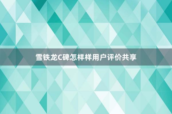 雪铁龙C碑怎样样用户评价共享
